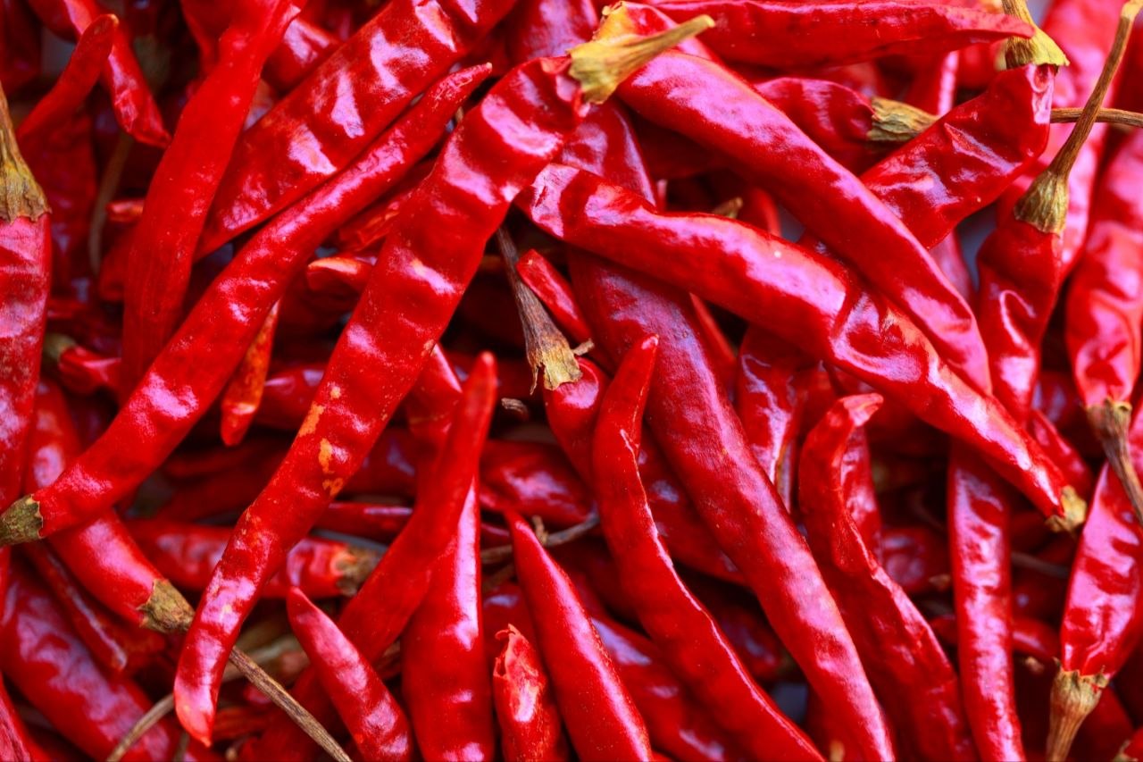 Dry Red Chillies 1