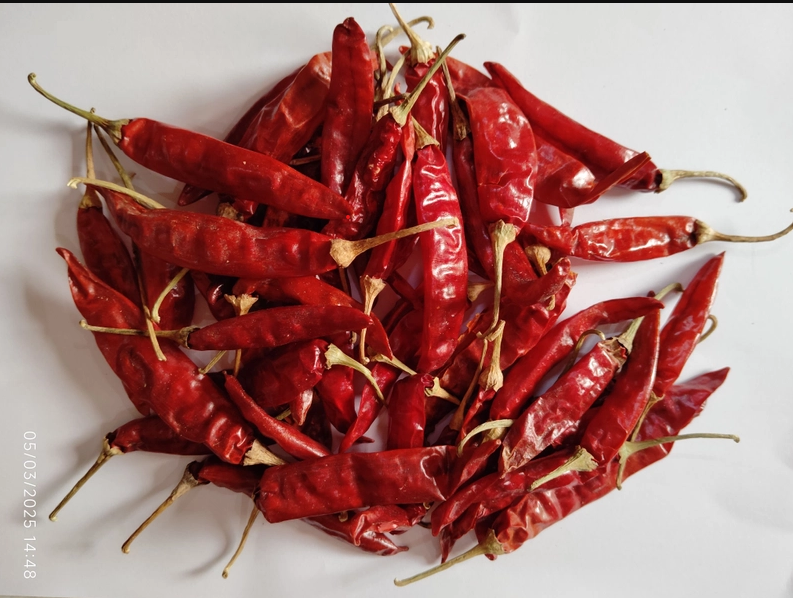 Dry Red Chillies 3